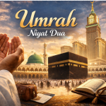 火狐截图_2026-04-06T14-12-50.965Z